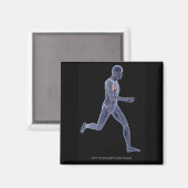 Röntgenaufnahme des Gefäßsystems in einem Laufmann Magnet (Vorderseite/Rückseite)