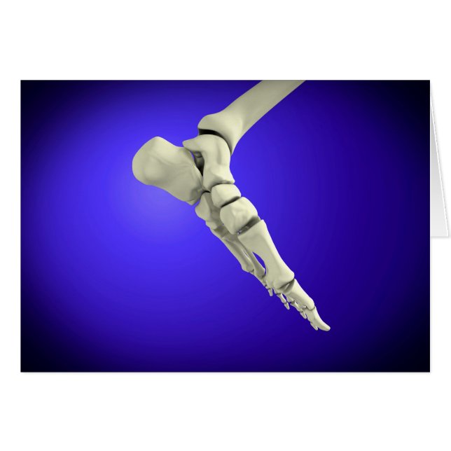 Röntgenaufnahme des menschlichen Fußes 2 (Vorderseite (Horizontal))