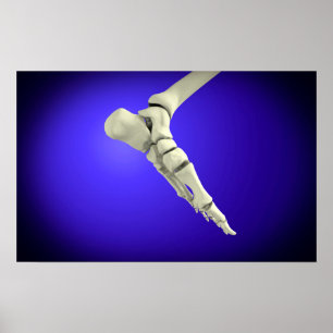 Röntgenaufnahme des menschlichen Fußes 2 Poster