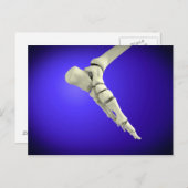 Röntgenaufnahme des menschlichen Fußes 2 Postkarte (Vorne/Hinten)