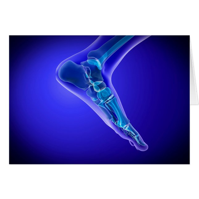 Röntgenaufnahme des menschlichen Fußes 3 (Vorderseite (Horizontal))