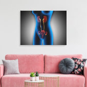 Röntgenaufnahme des weiblichen Körpers mit Fortpfl Leinwanddruck (Insitu (Wohnzimmer))