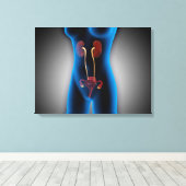 Röntgenaufnahme des weiblichen Körpers mit Fortpfl Leinwanddruck (Insitu (Holzboden))