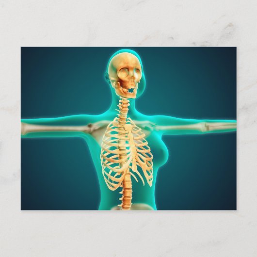 Röntgenaufnahme des weiblichen Oberkörpers mit Rip Postkarte (Vorderseite)