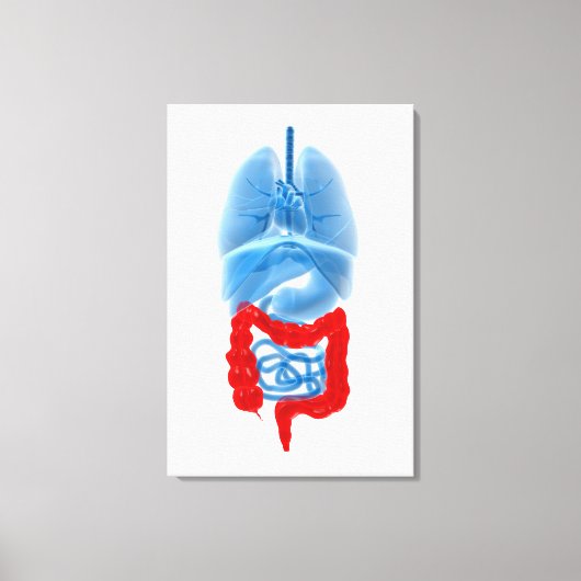 Röntgenbild interner Organe mit großen Leinwanddruck (Vorderseite)