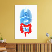 Röntgenbild interner Organe mit großen Leinwanddruck (Insitu (Wohnzimmer))