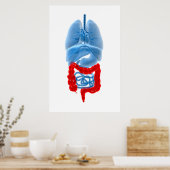 Röntgenbild interner Organe mit großen Poster (Küche)