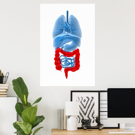 Röntgenbild interner Organe mit großen Poster (Heimbüro)