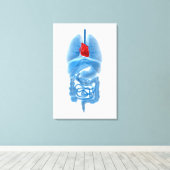 Röntgenbild interner Organe mit Herz Leinwanddruck (Insitu (Holzboden))