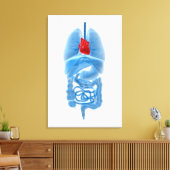 Röntgenbild interner Organe mit Herz Leinwanddruck (Insitu (Wohnzimmer))