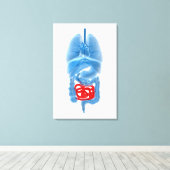 Röntgenbild interner Organe mit kleinen Leinwanddruck (Insitu (Holzboden))