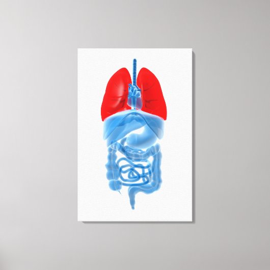 Röntgenbild interner Organe mit Lungen Leinwanddruck (Vorderseite)