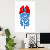 Röntgenbild interner Organe mit Lungen Poster (Heimbüro)