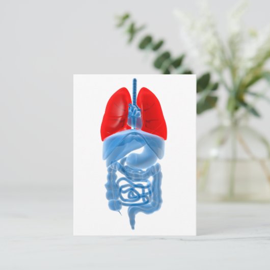 Röntgenbild interner Organe mit Lungen Postkarte (Stehend Vorderseite)