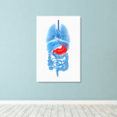 Röntgenbild interner Organe mit Magenschmerzen Leinwanddruck (Insitu (Holzboden))