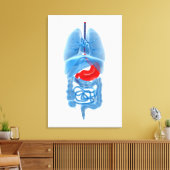 Röntgenbild interner Organe mit Magenschmerzen Leinwanddruck (Insitu (Wohnzimmer))
