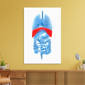 Röntgenbild interner Organe mit Membranen Leinwanddruck (Insitu (Wohnzimmer))