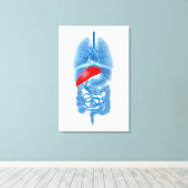 Röntgenbild interner Organe mit Pankreas Leinwanddruck (Insitu (Holzboden))