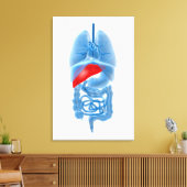 Röntgenbild interner Organe mit Pankreas Leinwanddruck (Insitu (Wohnzimmer))