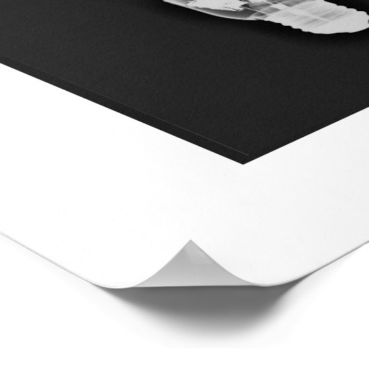 Röntgenkunst Poster (Ecke)