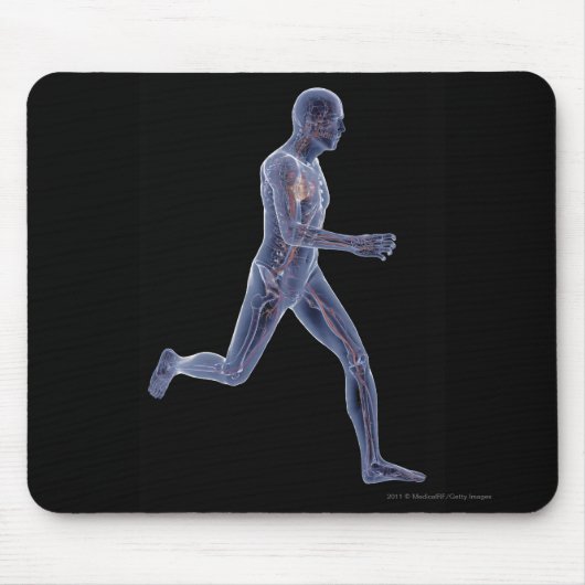 Röntgenstrahl des Gefäßsystems in einem laufenden Mousepad (Vorne)