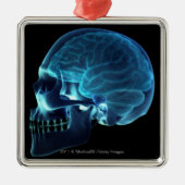 Röntgenstrahl des Gehirns innerhalb eines Schädels Silbernes Ornament (Vorne)