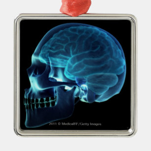 Röntgenstrahl des Gehirns innerhalb eines Schädels Silbernes Ornament