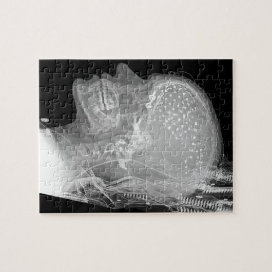 Röntgenstrahl-PuzzlespielCyborg Puzzle (Horizontal)