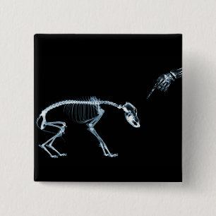 Röntgenstrahl-Skelett-schlechtes Hundeblau Button