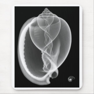 Röntgenstrahlmütze Seashell Mousepad
