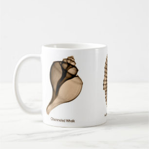 Röntgenstrahlseashell-Tasse mit Pustel, Seepferd Kaffeetasse