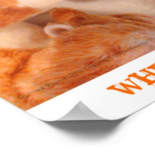 Roo Stuffy & Skippy Peeg Poster (Ecke)