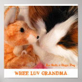 Roo Stuffy & Skippy Peeg Poster (Vorne)