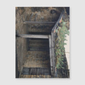 Roof Cactus Magnet (Vorderseite)