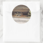 Roofie Raccoon Sticker (Tasche)