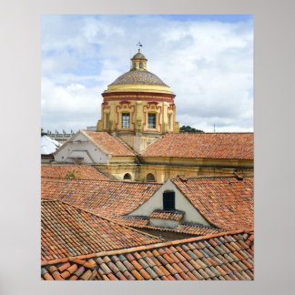 Roofops in Bogota Poster