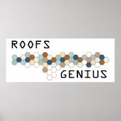Roofs Genius Poster (Vorne)