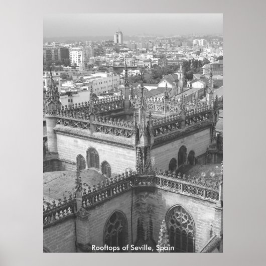 Rooftops of Seville, Rooftops of Seville, Spain Poster (Vorne)