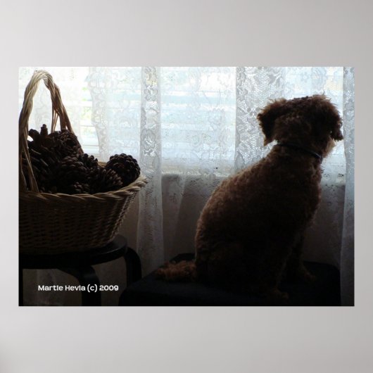 Rookie Waits Poster (Vorne)