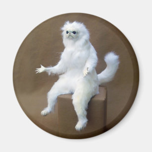 Room Guardian Meme Magnet