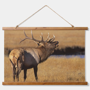 Roosevelt-Elchbulle Wyoming Wandteppich Mit Holzrahmen