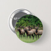 Roosevelt Elk Herd Button (Vorne & Hinten)