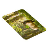 Roosevelt Elk | Olympic National Park, Washington Magnet (Rechte Seite)