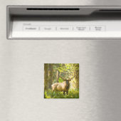 Roosevelt Elk | Olympischer Nationalpark, Washingt Magnet (In Situ (Geschirrspüler))