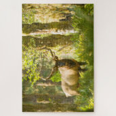 Roosevelt Elk | Olympischer Nationalpark, Washingt Puzzle (Vertikal)