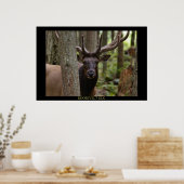 Roosevelt Elk Poster (Küche)