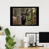 Roosevelt Elk Poster (Heimbüro)