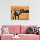 Roosevelt Eull Elk Wyoming Leinwanddruck (Insitu (Wohnzimmer))