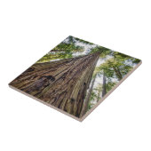 Roosevelt Fliese (Seite)