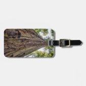 Roosevelt Gepäckanhänger (Vorderseite horizontal)